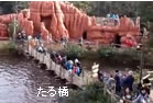 たる橋
