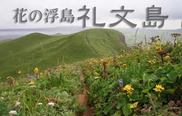 礼文島
