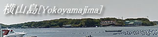 横山島