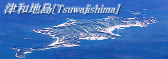 津和地島写真