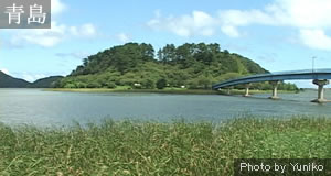 青島