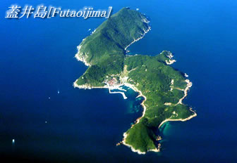 蓋井島大橋
