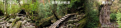 屋久島