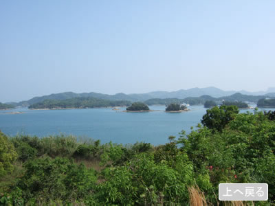 中島、前島