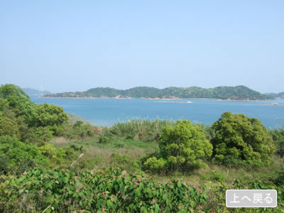 瀬島