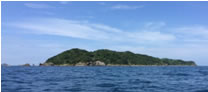 大島