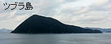 ツブラ島